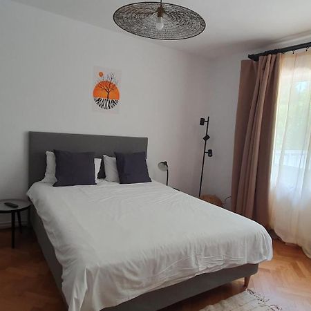 The Pines Serviced Apartments براشوف المظهر الخارجي الصورة